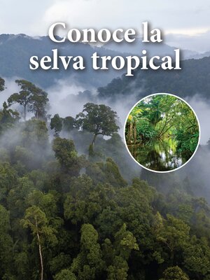 cover image of Conoce la selva tropical (Life in a Rainforest)